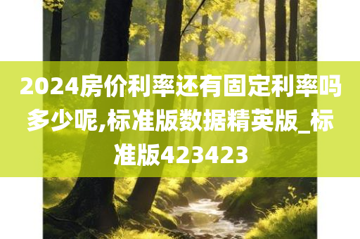 2024房价利率还有固定利率吗多少呢,标准版数据精英版_标准版423423