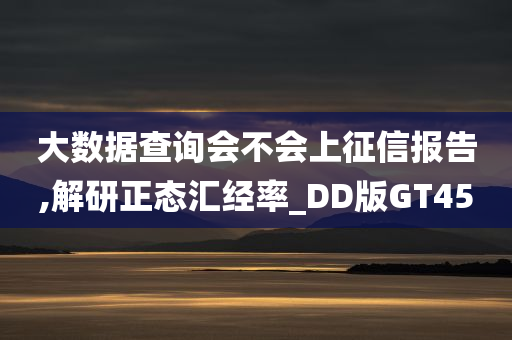 大数据查询会不会上征信报告,解研正态汇经率_DD版GT45