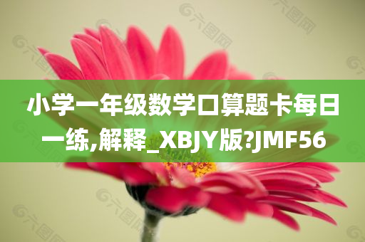 小学一年级数学口算题卡每日一练,解释_XBJY版?JMF56