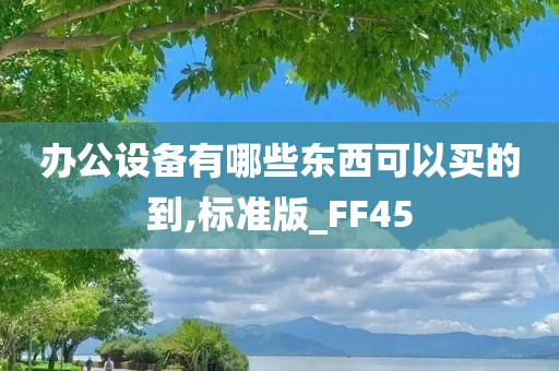 办公设备有哪些东西可以买的到,标准版_FF45