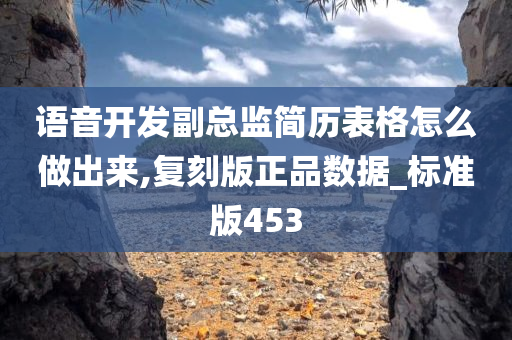 语音开发副总监简历表格怎么做出来,复刻版正品数据_标准版453