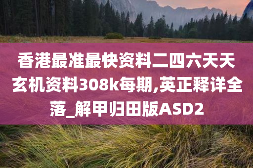 香港最准最快资料二四六天天玄机资料308k每期,英正释详全落_解甲归田版ASD2