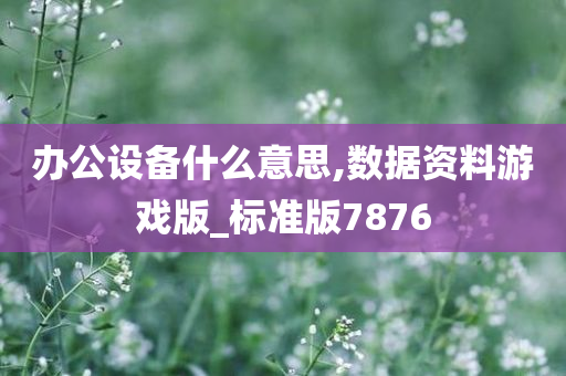 办公设备什么意思,数据资料游戏版_标准版7876