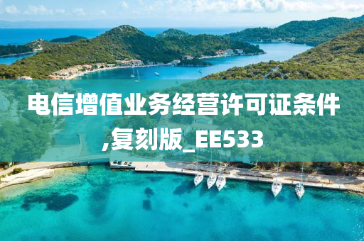 电信增值业务经营许可证条件,复刻版_EE533