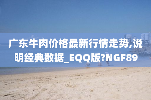 广东牛肉价格最新行情走势,说明经典数据_EQQ版?NGF89