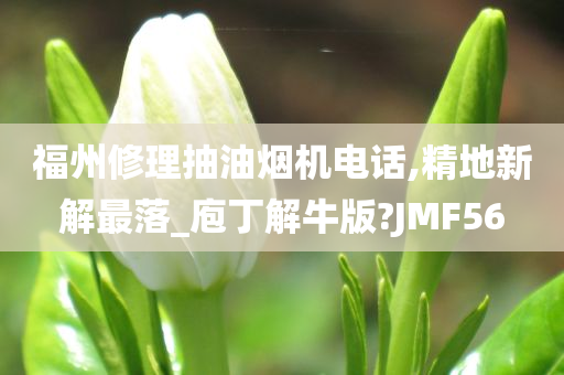 福州修理抽油烟机电话,精地新解最落_庖丁解牛版?JMF56