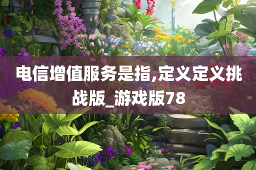 电信增值服务是指,定义定义挑战版_游戏版78