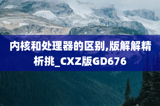 内核和处理器的区别,版解解精析挑_CXZ版GD676