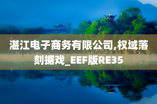 湛江电子商务有限公司,权域落刻据戏_EEF版RE35