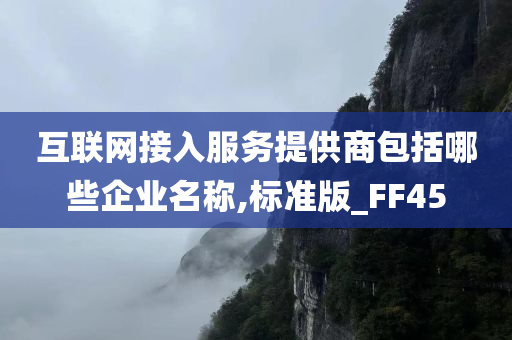 互联网接入服务提供商包括哪些企业名称,标准版_FF45