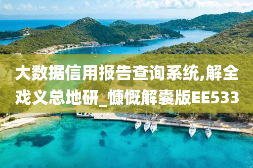 大数据信用报告查询系统,解全戏义总地研_慷慨解囊版EE533