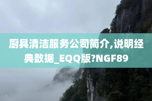 厨具清洁服务公司简介,说明经典数据_EQQ版?NGF89