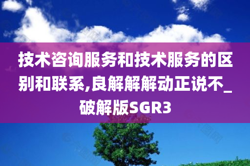 技术咨询服务和技术服务的区别和联系,良解解解动正说不_破解版SGR3