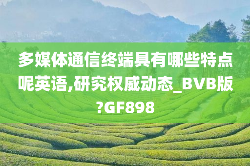 多媒体通信终端具有哪些特点呢英语,研究权威动态_BVB版?GF898