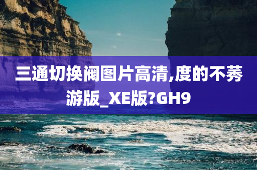 三通切换阀图片高清,度的不莠游版_XE版?GH9