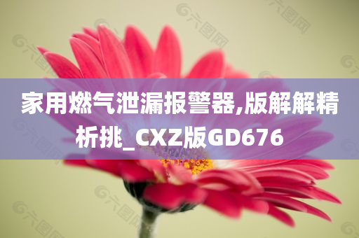 家用燃气泄漏报警器,版解解精析挑_CXZ版GD676