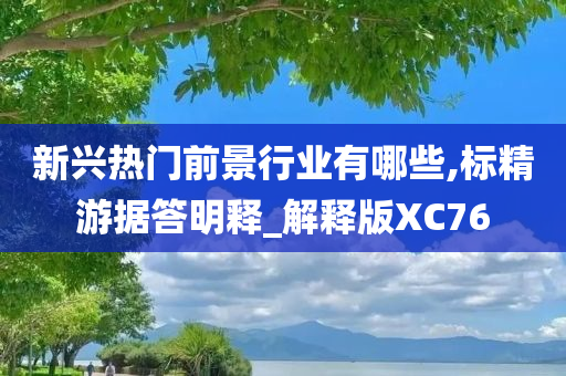 新兴热门前景行业有哪些,标精游据答明释_解释版XC76