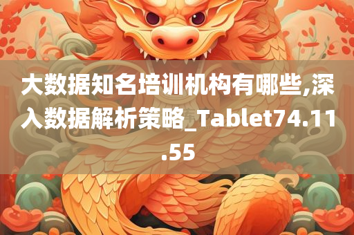 大数据知名培训机构有哪些,深入数据解析策略_Tablet74.11.55