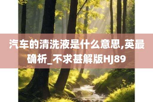 汽车的清洗液是什么意思,英最确析_不求甚解版HJ89