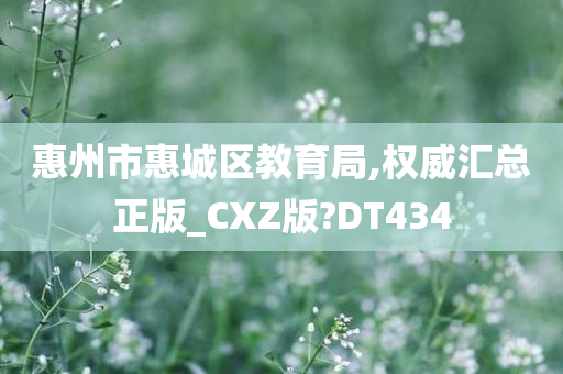 惠州市惠城区教育局,权威汇总正版_CXZ版?DT434