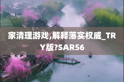 家清理游戏,解释落实权威_TRY版?SAR56