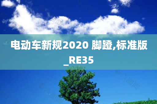 电动车新规2020 脚蹬,标准版_RE35