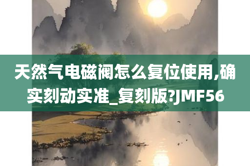 天然气电磁阀怎么复位使用,确实刻动实准_复刻版?JMF56