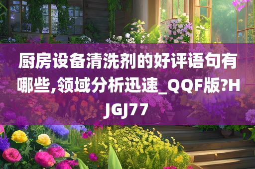 厨房设备清洗剂的好评语句有哪些,领域分析迅速_QQF版?HJGJ77