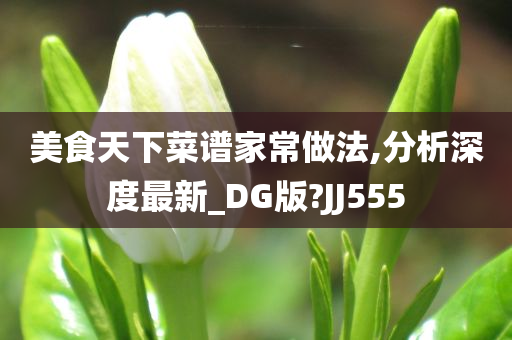 美食天下菜谱家常做法,分析深度最新_DG版?JJ555