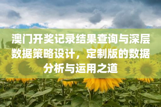 澳门开奖记录结果查询与深层数据策略设计，定制版的数据分析与运用之道