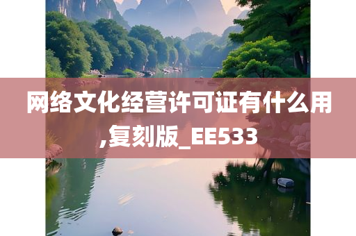 网络文化经营许可证有什么用,复刻版_EE533