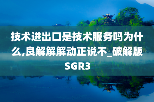 技术进出口是技术服务吗为什么,良解解解动正说不_破解版SGR3