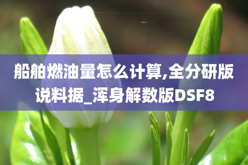 船舶燃油量怎么计算,全分研版说料据_浑身解数版DSF8