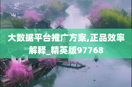 大数据平台推广方案,正品效率解释_精英版97768