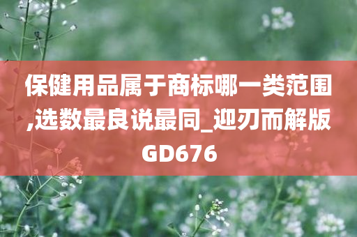 保健用品属于商标哪一类范围,选数最良说最同_迎刃而解版GD676