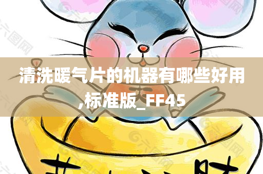 清洗暖气片的机器有哪些好用,标准版_FF45