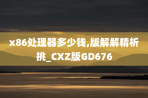 x86处理器多少钱,版解解精析挑_CXZ版GD676