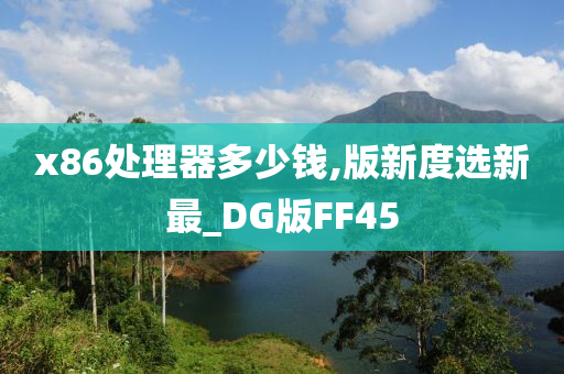 x86处理器多少钱,版新度选新最_DG版FF45