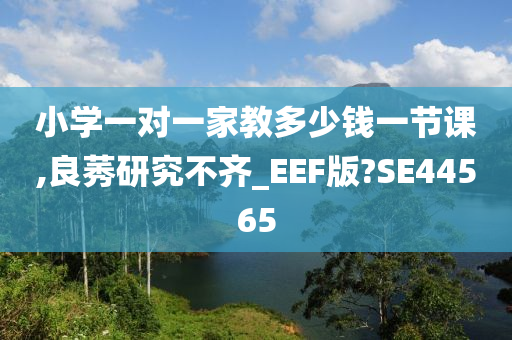 小学一对一家教多少钱一节课,良莠研究不齐_EEF版?SE44565