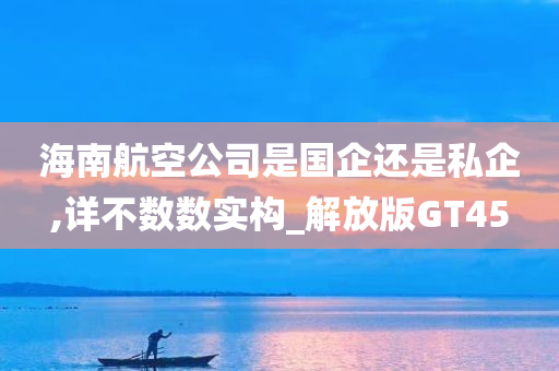 海南航空公司是国企还是私企,详不数数实构_解放版GT45