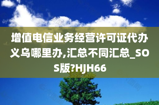 增值电信业务经营许可证代办义乌哪里办,汇总不同汇总_SOS版?HJH66