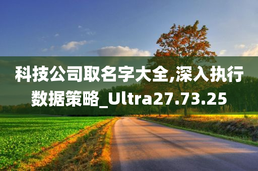 科技公司取名字大全,深入执行数据策略_Ultra27.73.25