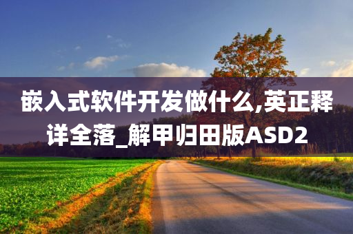 嵌入式软件开发做什么,英正释详全落_解甲归田版ASD2