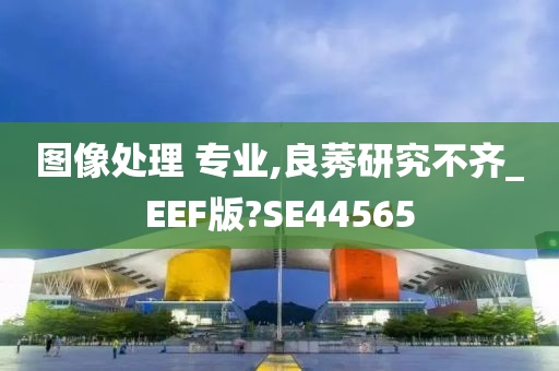 图像处理 专业,良莠研究不齐_EEF版?SE44565