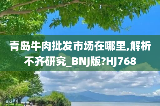 青岛牛肉批发市场在哪里,解析不齐研究_BNJ版?HJ768