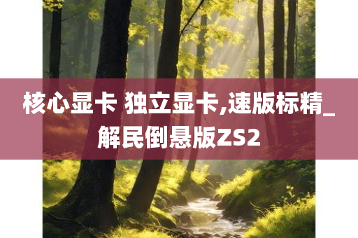 核心显卡 独立显卡,速版标精_解民倒悬版ZS2