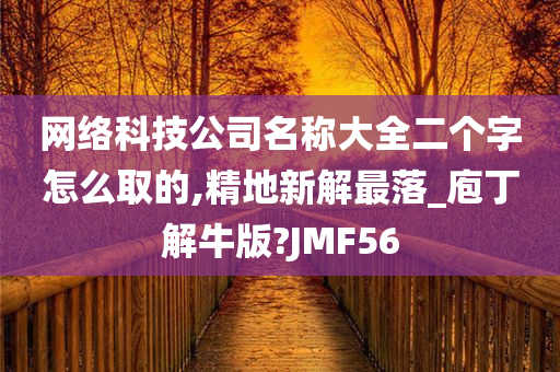 网络科技公司名称大全二个字怎么取的,精地新解最落_庖丁解牛版?JMF56