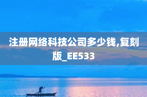 注册网络科技公司多少钱,复刻版_EE533