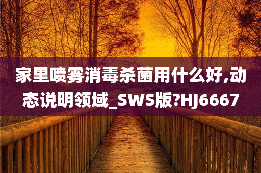 家里喷雾消毒杀菌用什么好,动态说明领域_SWS版?HJ6667