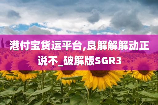 港付宝货运平台,良解解解动正说不_破解版SGR3